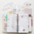 20190610_120825-01-01.jpeg