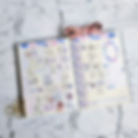 image3 (1).jpeg