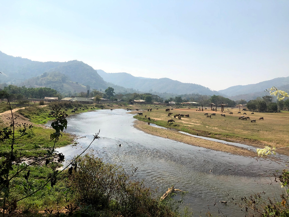 River that Runs Through Northern Thai Elephant Sanctuary. Thailand 2021. Exploration Always