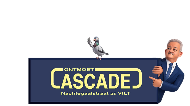 cascade bord.png