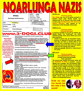 Card 2014 Confirmed Noarlunga Nazis - An