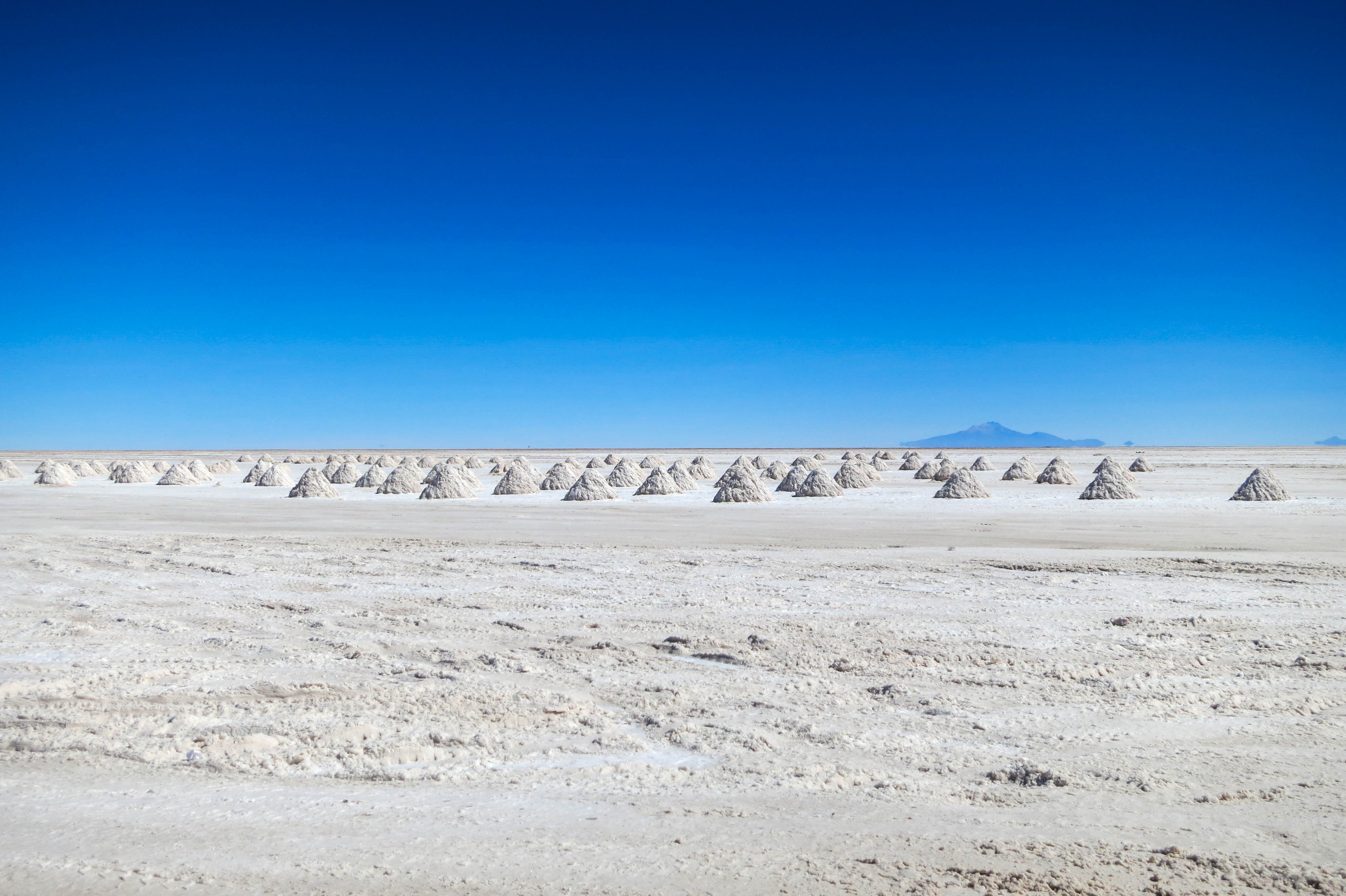 Salt of the Earth