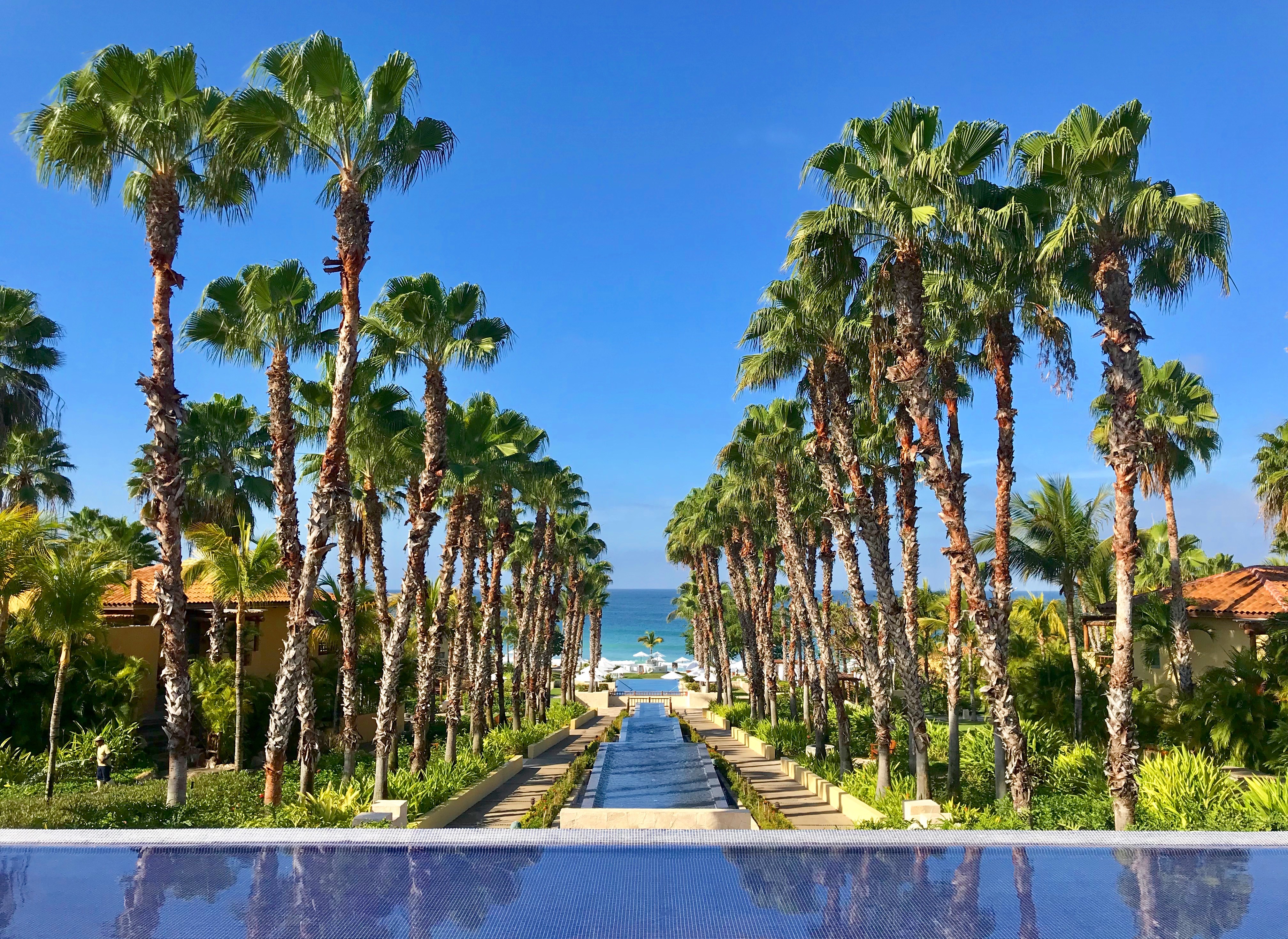 Pacific Paradise