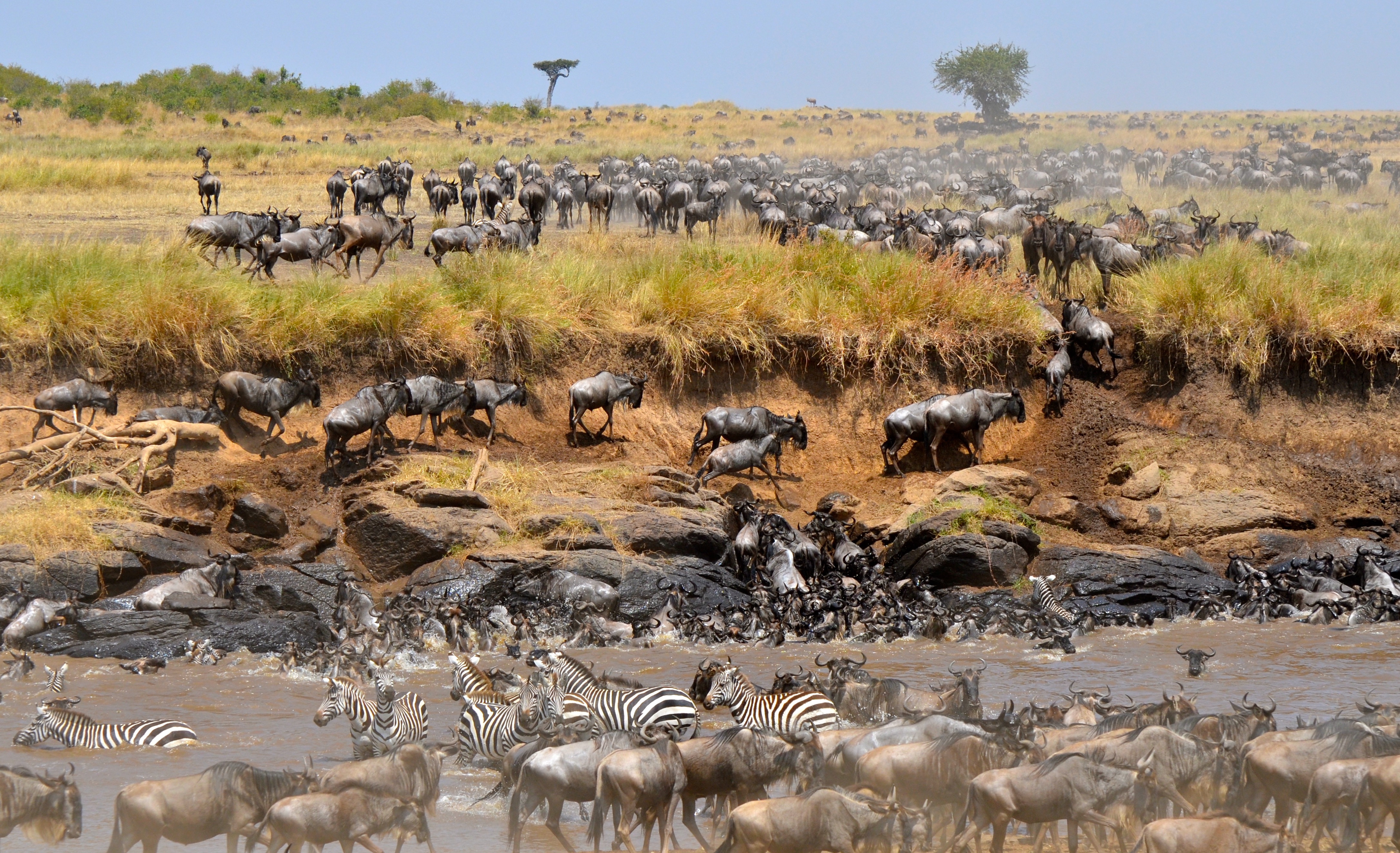 15 Best Places to See Wildlife
