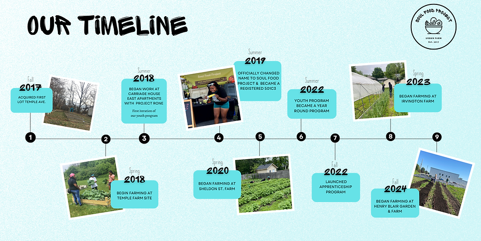 Soul Food Project Timeline horizontal.png