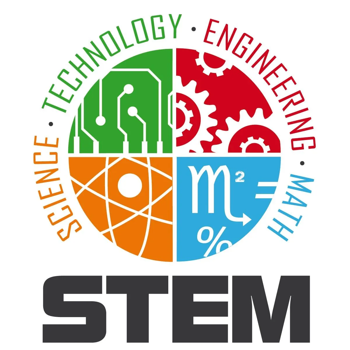 STEM1.webp