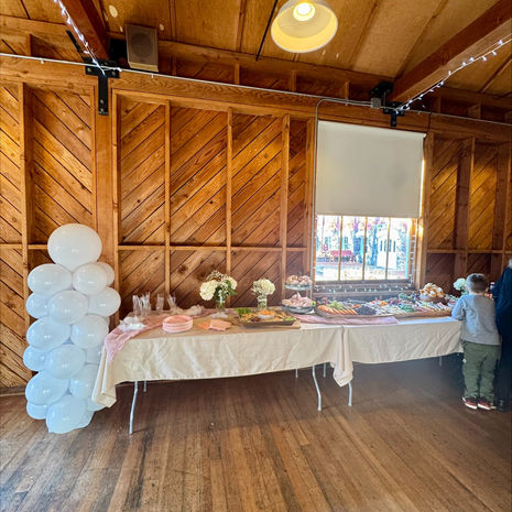 Baby Shower Decor