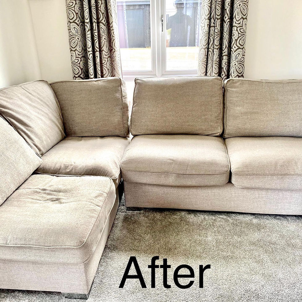 Sofa Cleaning