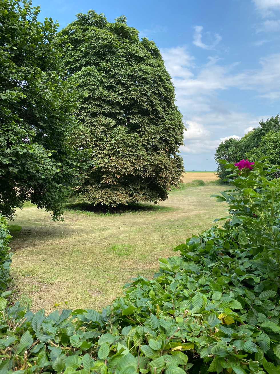 Blick in die Weite Mecklenburgs