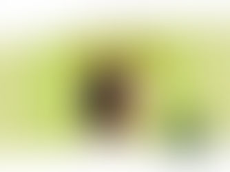 Stress Less, Book More: How Smart Web Design Saves Hospitality Marketers from Burnout