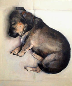 Puppy