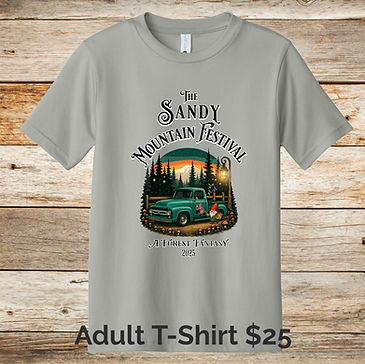 Adult Tshirt_edited.jpg