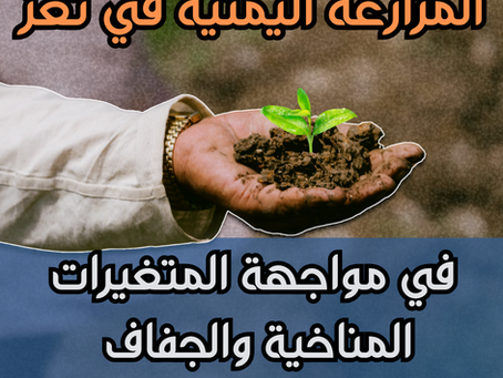 المزارعة اليمنية في تعز في مواجهة المتغيرات المناخية والجفاف