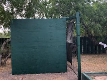 WALL BALL.jpg