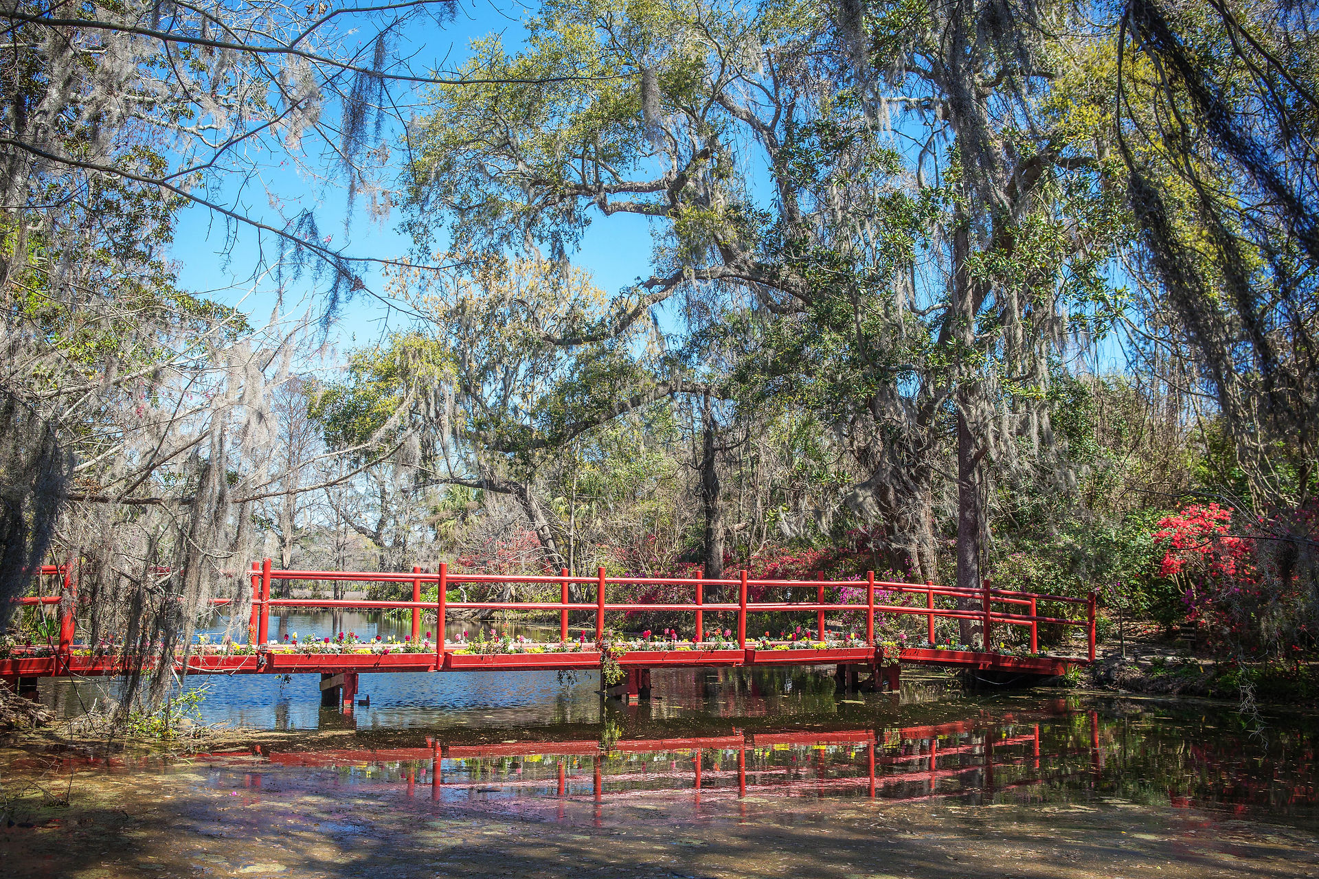 Charleston, SC: Magnolia Plantation