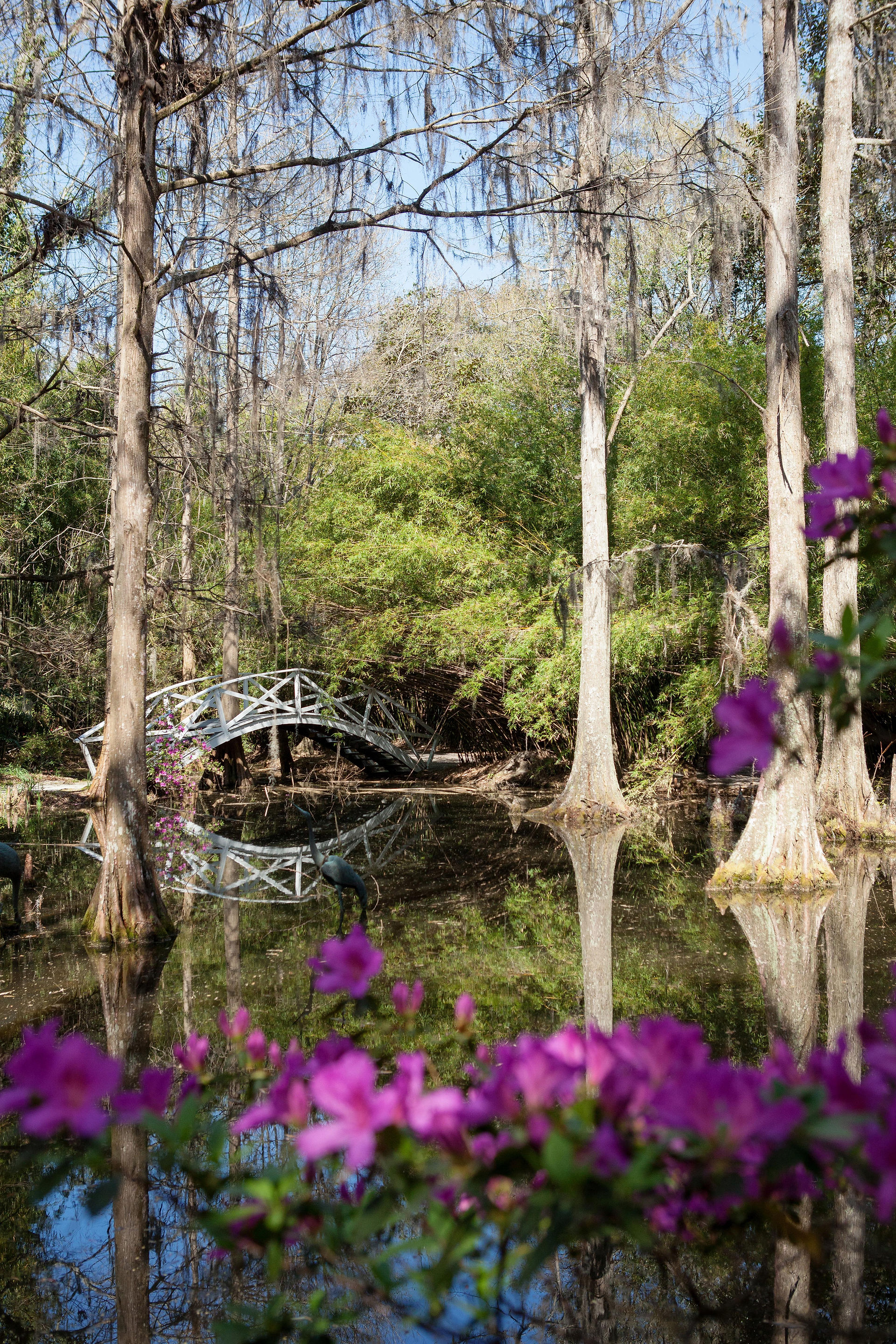 Magnolia Plantation, Charleston, SC