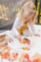 blog, sensory bin, sensory bins, fall themed sensory bin, learning opportunities, learn through play, sensory learning, toddler activities, kid activities, homeschool activities, fall family fun
