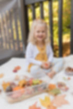 blog, sensory bin, sensory bins, fall themed sensory bin, learning opportunities, learn through play, sensory learning, toddler activities, kid activities, homeschool activities, fall family fun