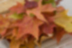 blog, sensory bin, sensory bins, fall themed sensory bin, learning opportunities, learn through play, sensory learning, toddler activities, kid activities, homeschool activities, fall family fun