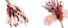 recurso de fondo_ramo de hierba seca_central.png