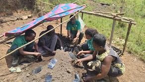 Saving Threatened Tree Species Through Propagation