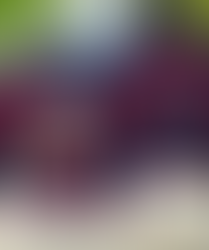 New England Patriots Christmas Donald Trump Knitted Sweater