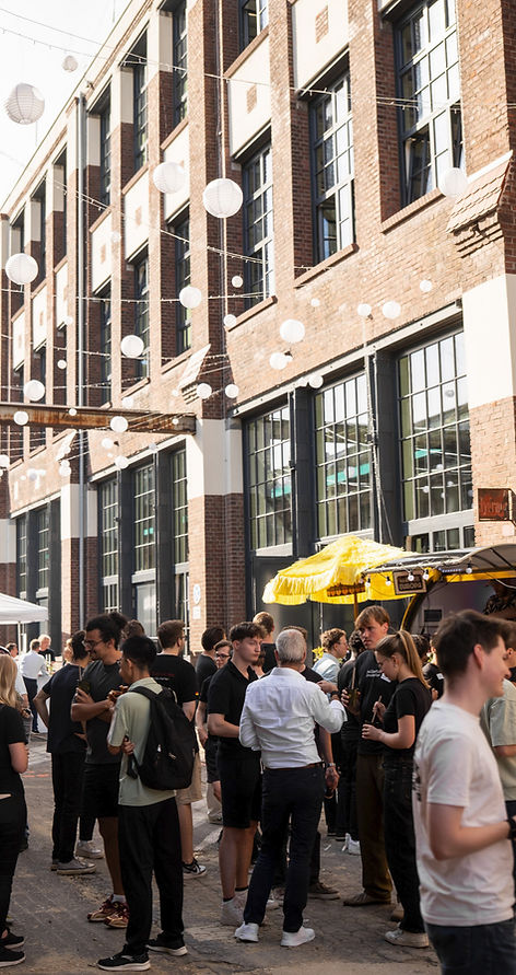 Christian van_t Hoen - birdsonaplane_edi