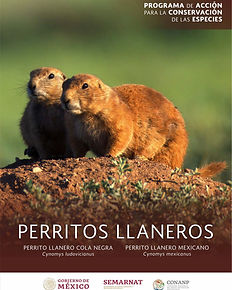 2018 PACE perroto llanero PORTADA.jpg