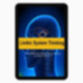 Limbic System Thinking