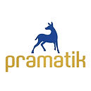 Pramatik logo (T1) 1_edited.jpg