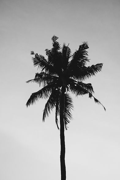 pexels-oliver-sjöström-1122409.jpg