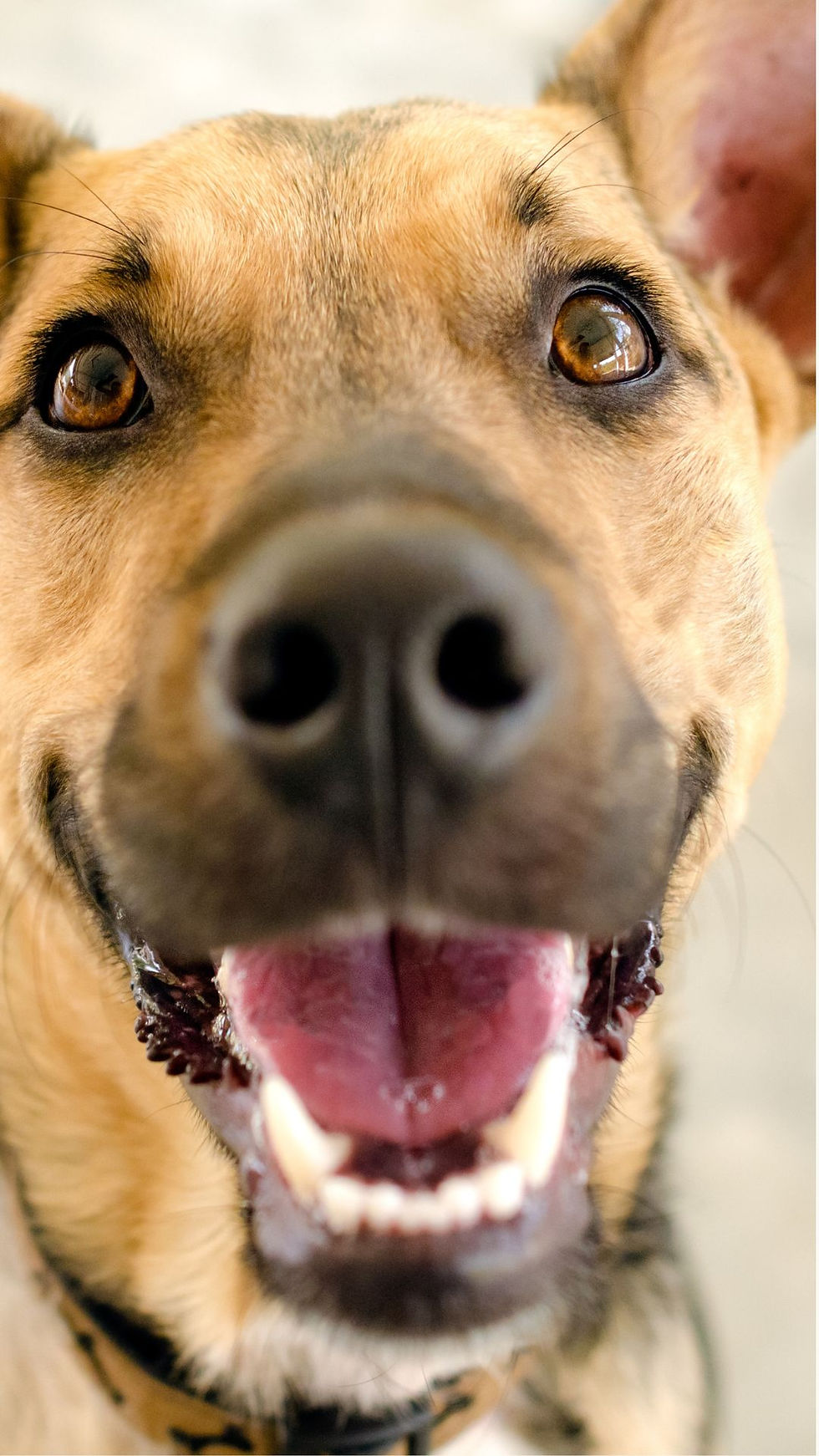 META_Phase1_Notoriété_916 (Votre story).jpg