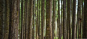 28458282558_6ba7d69ca7_o_edited_edited.j