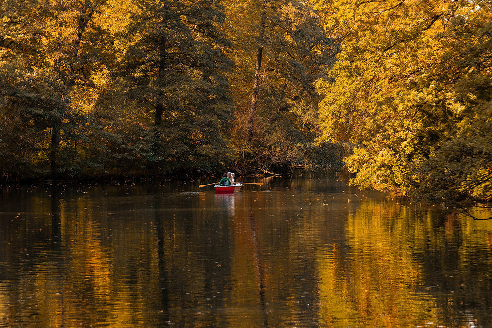 What did we do with Photography?