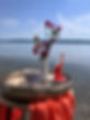 Coaching Lina Pflugk Ammersee Landsberg am Lech .JPG