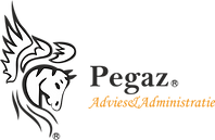 logo pegaz (1).png