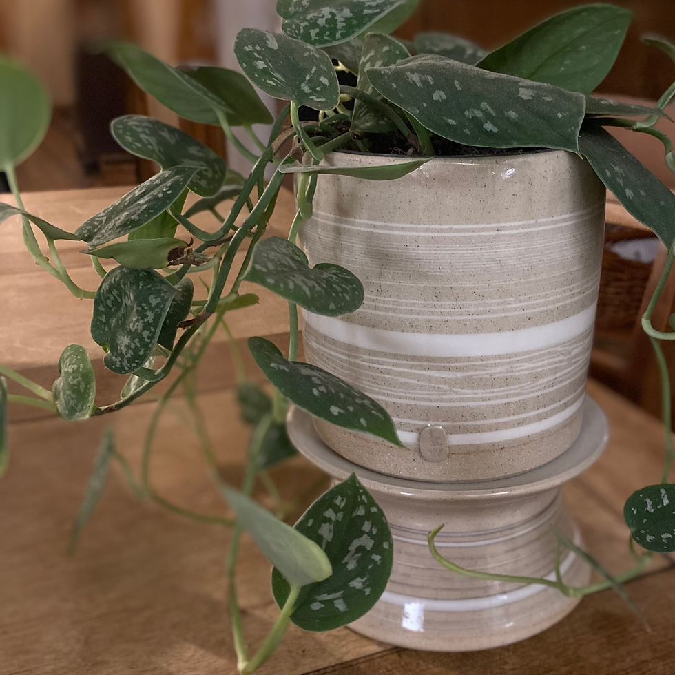 Thumbnail: Butter Dish