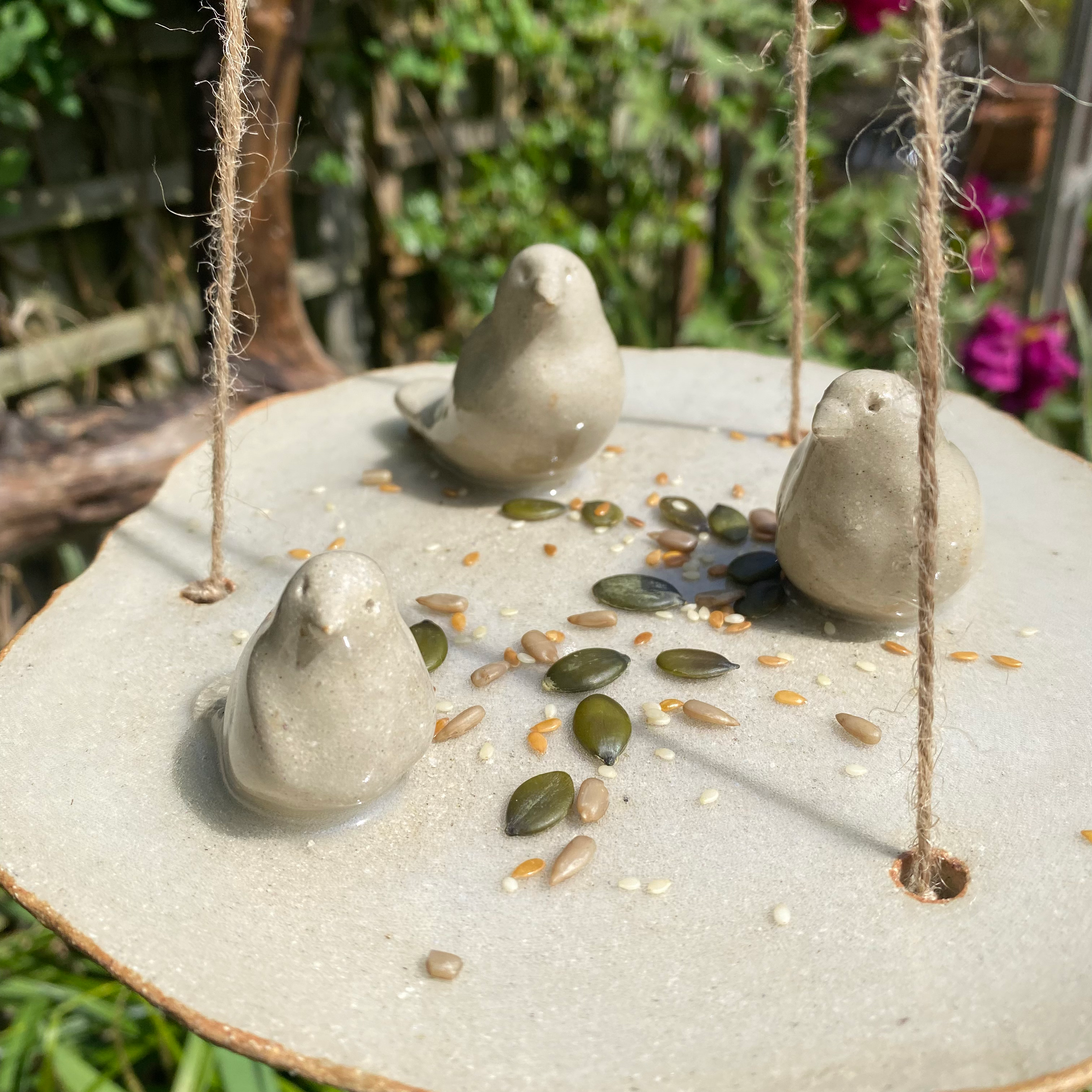 Bird Feeder