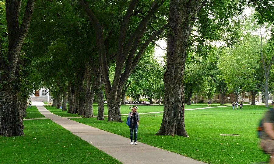 Colorado State University Oval in Fort Collins, Colorado