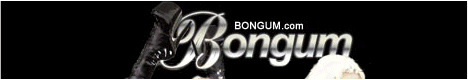 bongum_468x80.gif