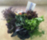 1.9.19 basket 1.jpeg