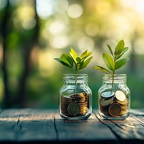 Forever Learn Finance