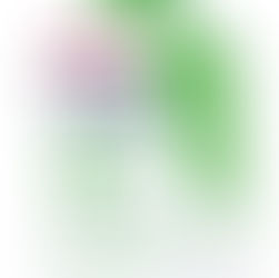 TOP 10 Skin Care Routine Steps for Glowy, Radiant skin ( + Amazon Finds You’ll Love )