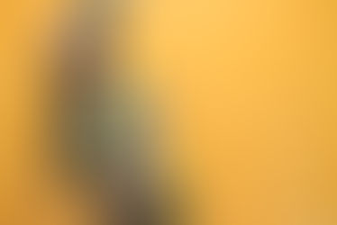 :: t w e n t y G R E A T