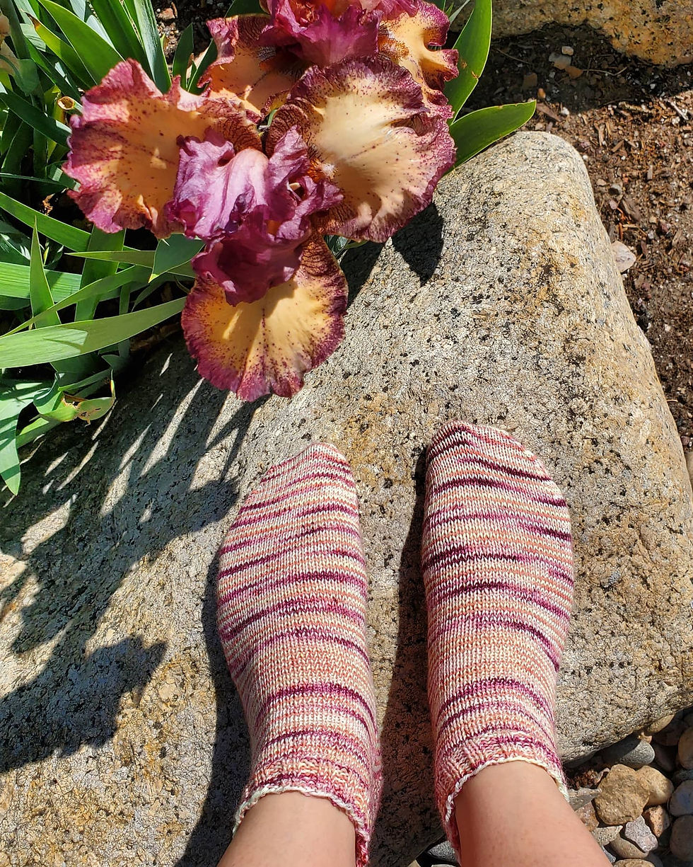 Thumbnail: ***Dyed to Order*** Spring has Sprung B**ches!