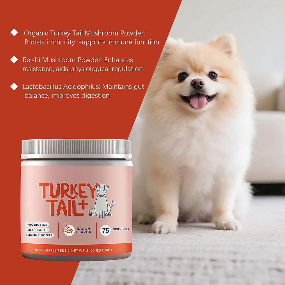 Thumbnail: 100g Pet Probiotic Supplement Health Daily Care Gentle Formula Easy to Mix in Fo