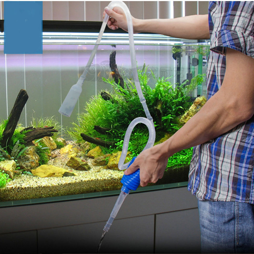 Thumbnail: Siphon Pump with Filter Nozzle Fish Tank Water Changer Air Pump Cleaning Accesso
