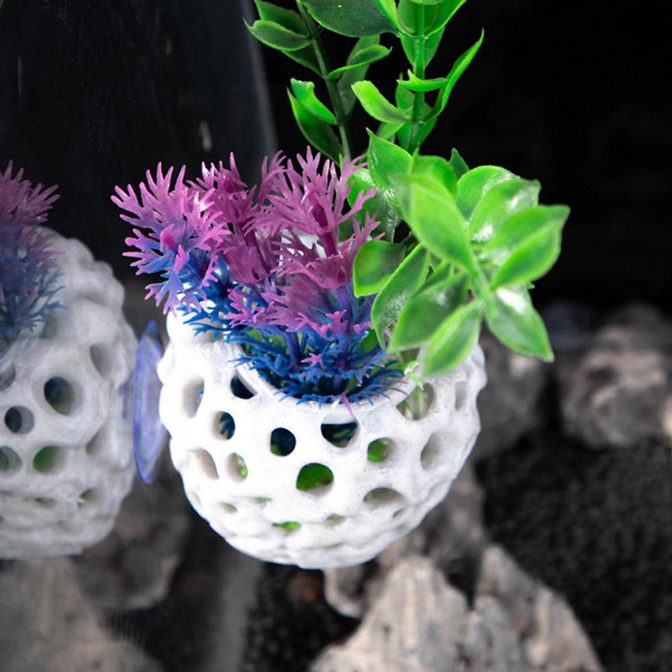Thumbnail: Aquarium Small Shrimp Cave Mini Porous Betta House Fish Hiding Spots Shrimp Shel
