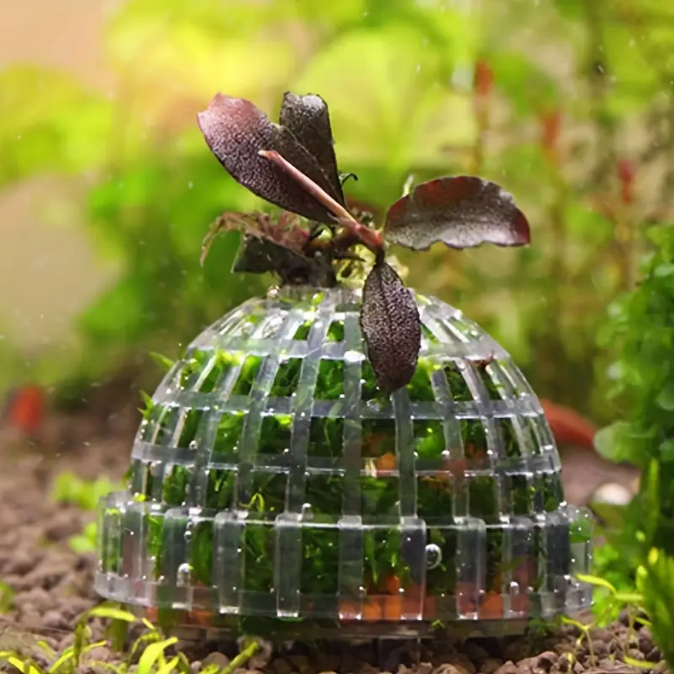 Thumbnail: 1PC/2PCS Plastic Aquarium Moss Ball Filter Aquatic Pet Supplies Decorations For 