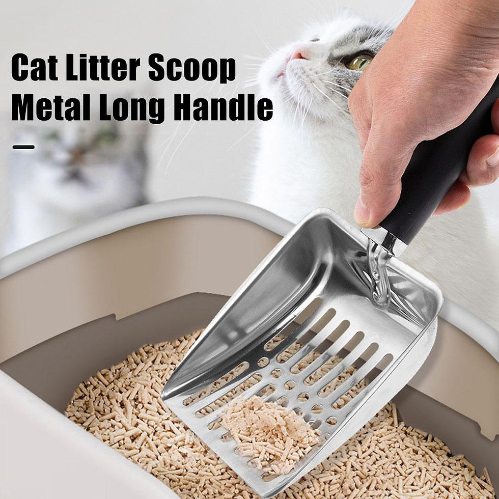 Thumbnail: Cat Sand Cleaning For Dog Cat Clean Feces Supplies Cat Litter Shovel Pet Cleanni